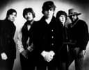 Steve Miller Band