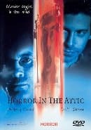 Horror In The Attic