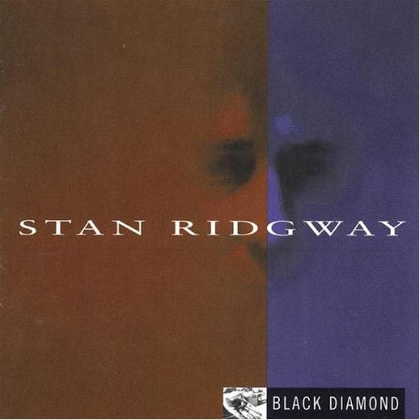 Stan Ridgway - Black Diamond (2 LP)