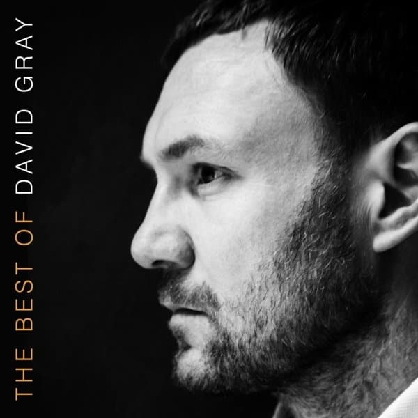 David Gray - The Best Of (2 LP)