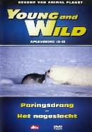 Young and Wild 12-13