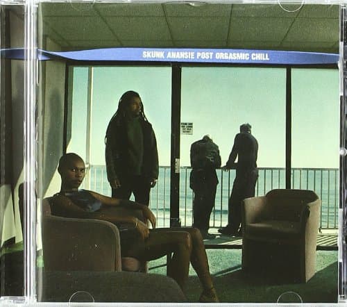 Skunk Anansie - Post Orgasmic Chill (CD)