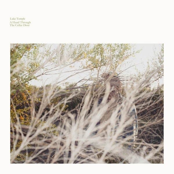 Luke Temple - A Hand Through The Cellar Door (LP)