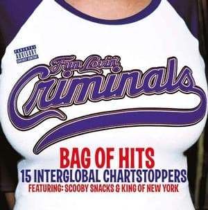 Fun Lovin' Criminals - Bag Of Hits