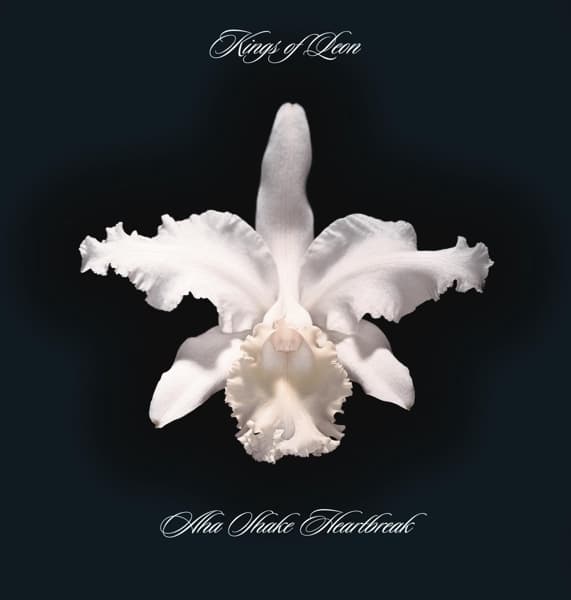 Kings Of Leon - Aha Shake Heartbreak (2 LP)