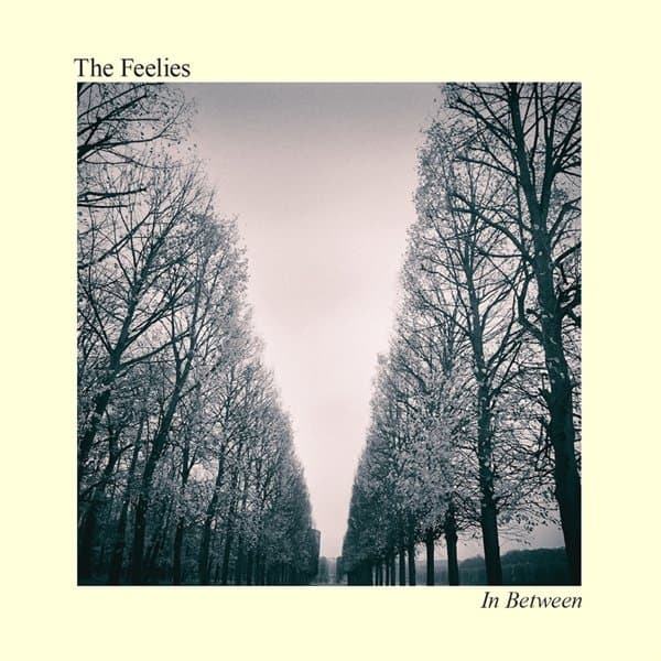 The Feelies - In Between (CD)