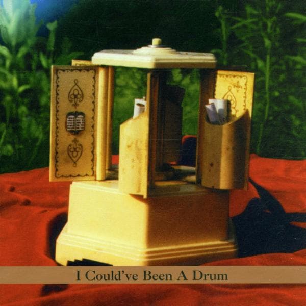 Roy Nathanson & Anthony Coleman - I Could've Been A Drum (CD)