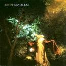 Califone - Heron King Blues