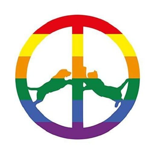 Hype Williams - Rainbow Edition (CD)