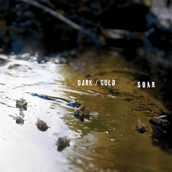 Soar - Dark / Gold (LP)