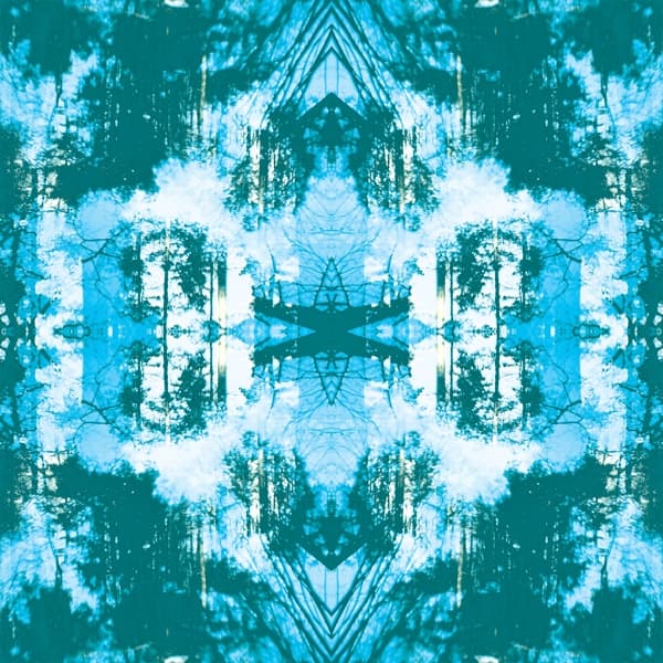 Tusks - Dissolve (CD)