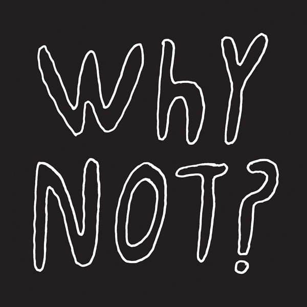 Half Japanese - Why Not? (LP)