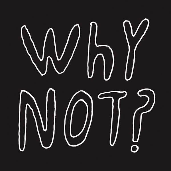 1/2 Japanese - Why Not? (CD)