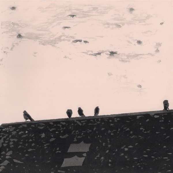Stuart A. Staples - Arrhythmia (LP)