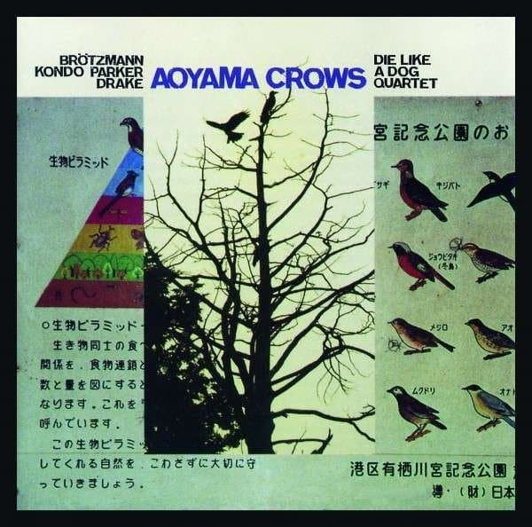Die Like A Dog Quartet - Aoyama Crows (CD)