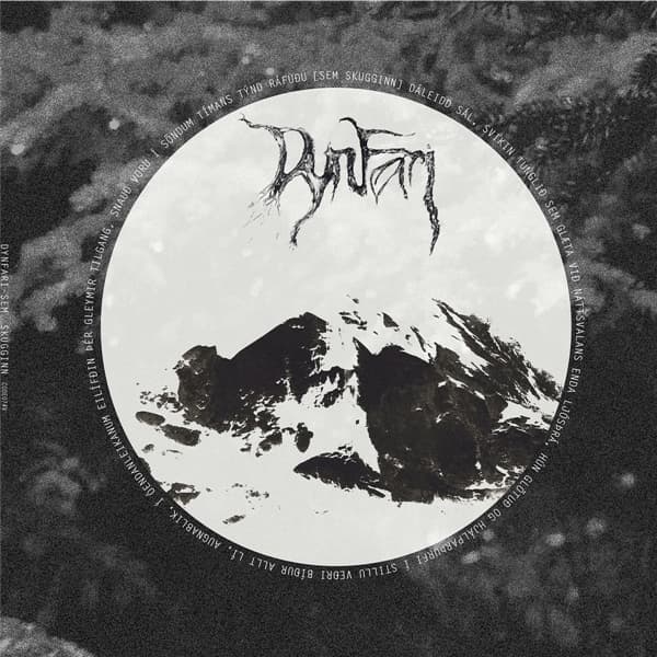 Dynfari - Sem Skugginn (2 LP) (Limited Edition) (Remastered) (Coloured Vinyl)