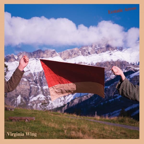 Virginia Wing - Ecstatic Arrow (CD)