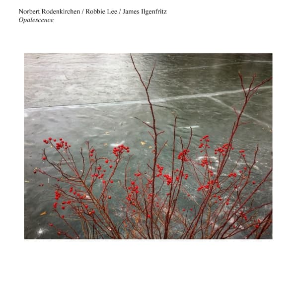 Norbert Rodenkirchen - Opalescence (CD)