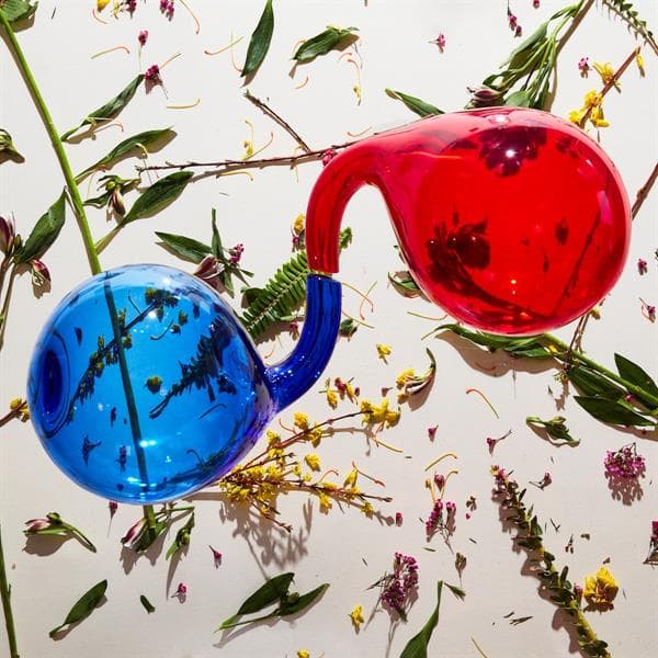 Dirty Projectors - Lamp Lit Prose (LP) (Coloured Vinyl)