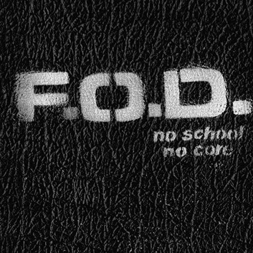Flag Of Democracy - No School, No Core