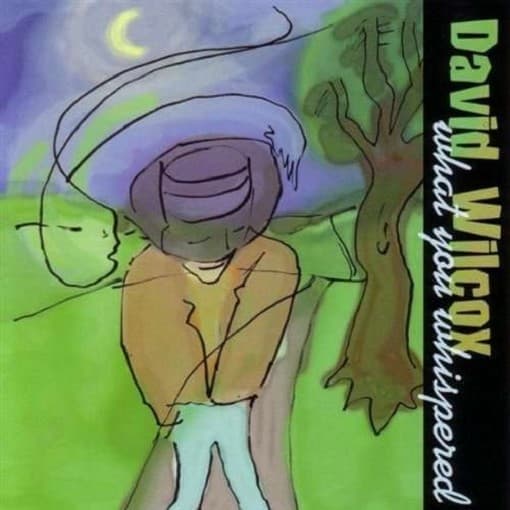 David Wilcox - What You Whispered (CD)