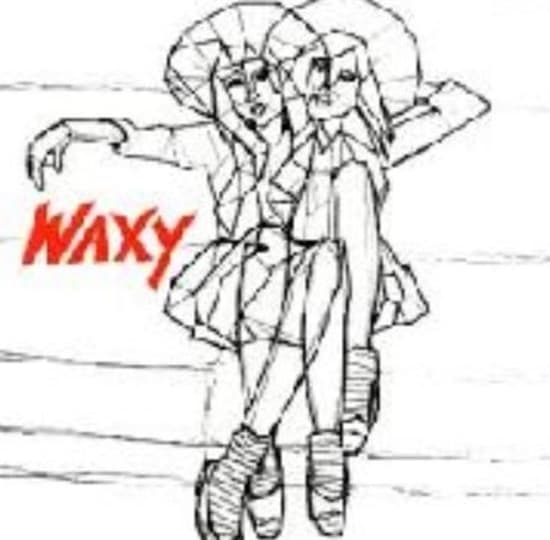 Waxy - Betting On Forgetting (LP)