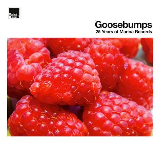 Various Artists - Goosebumps 25 Years Of