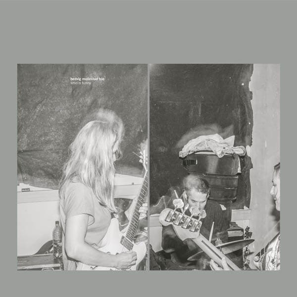 Hedvig Mollestad Trio - Smells Funny (LP)