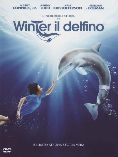 Incredibile Storia Di Winter Il Delfino L' (ds) (Import)