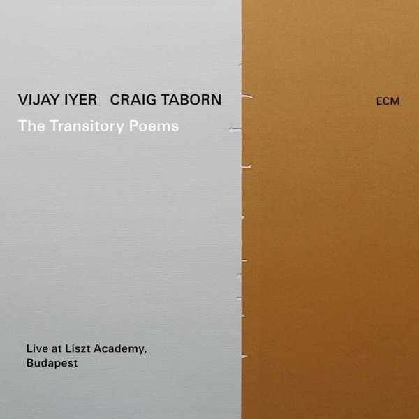 Vijay Iyer & Craig Taborn - The Transitory Poems (CD)