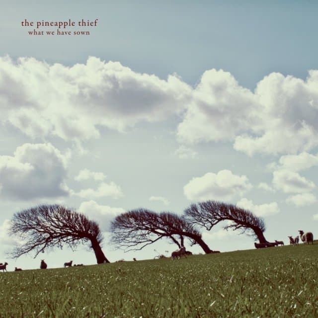 Pineapple Thief - What We Have Sown (2 LP) (Remastered)