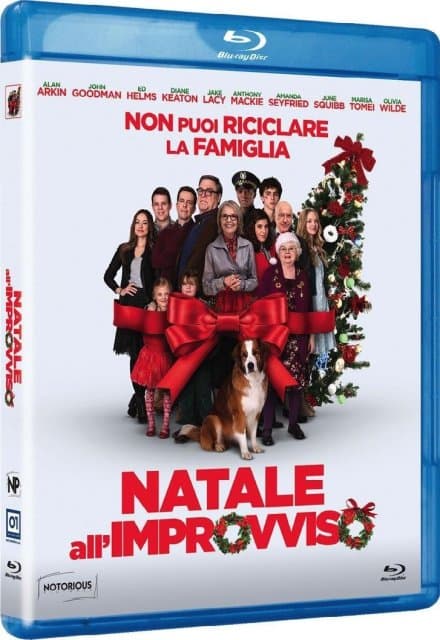 Keaton,goodman,tomei - Natale All'improvviso