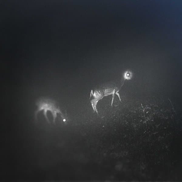 Bliss Signal - Bliss Signal (LP)