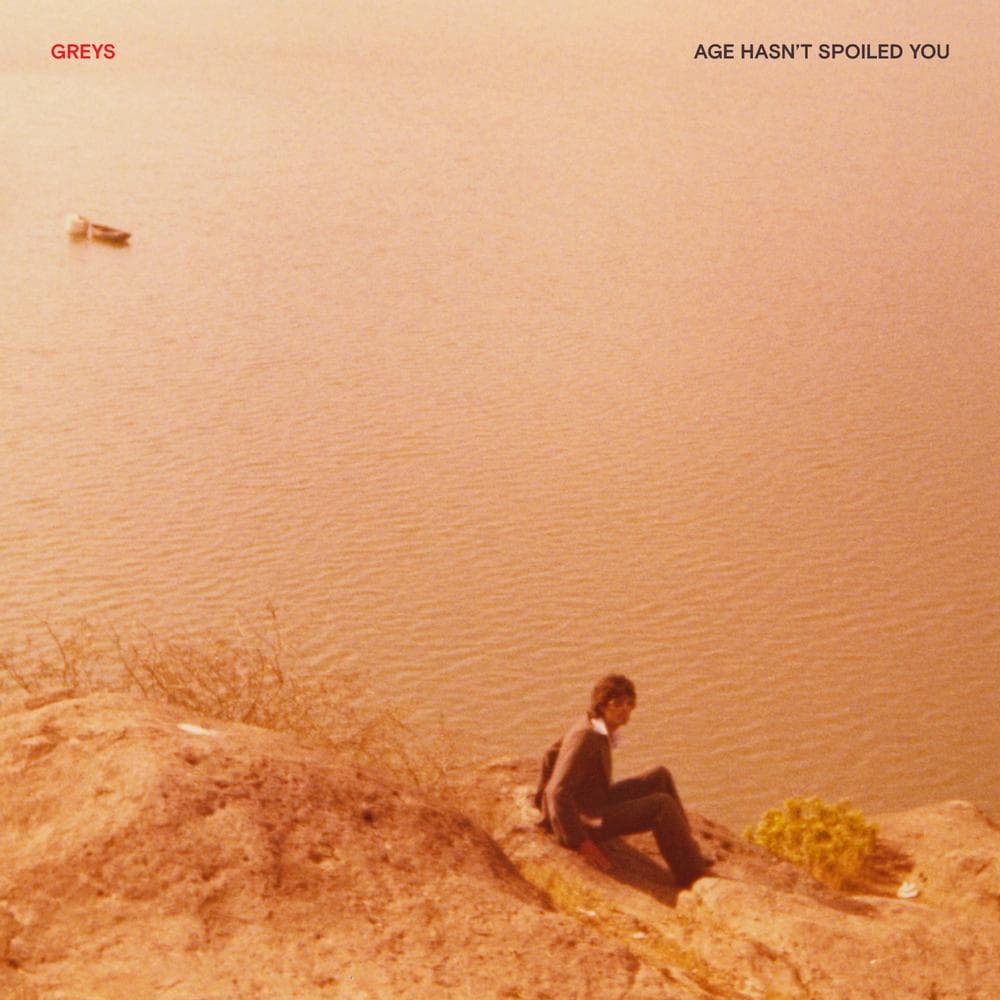 Greys - Age Hasn't Spoiled You (LP)