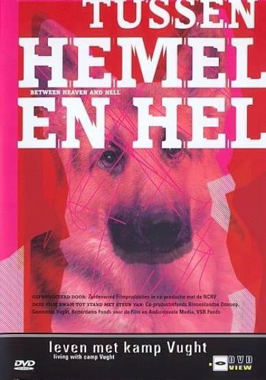 Tussen Hemel En Hel (DVD)