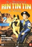 Rin Tin Tin