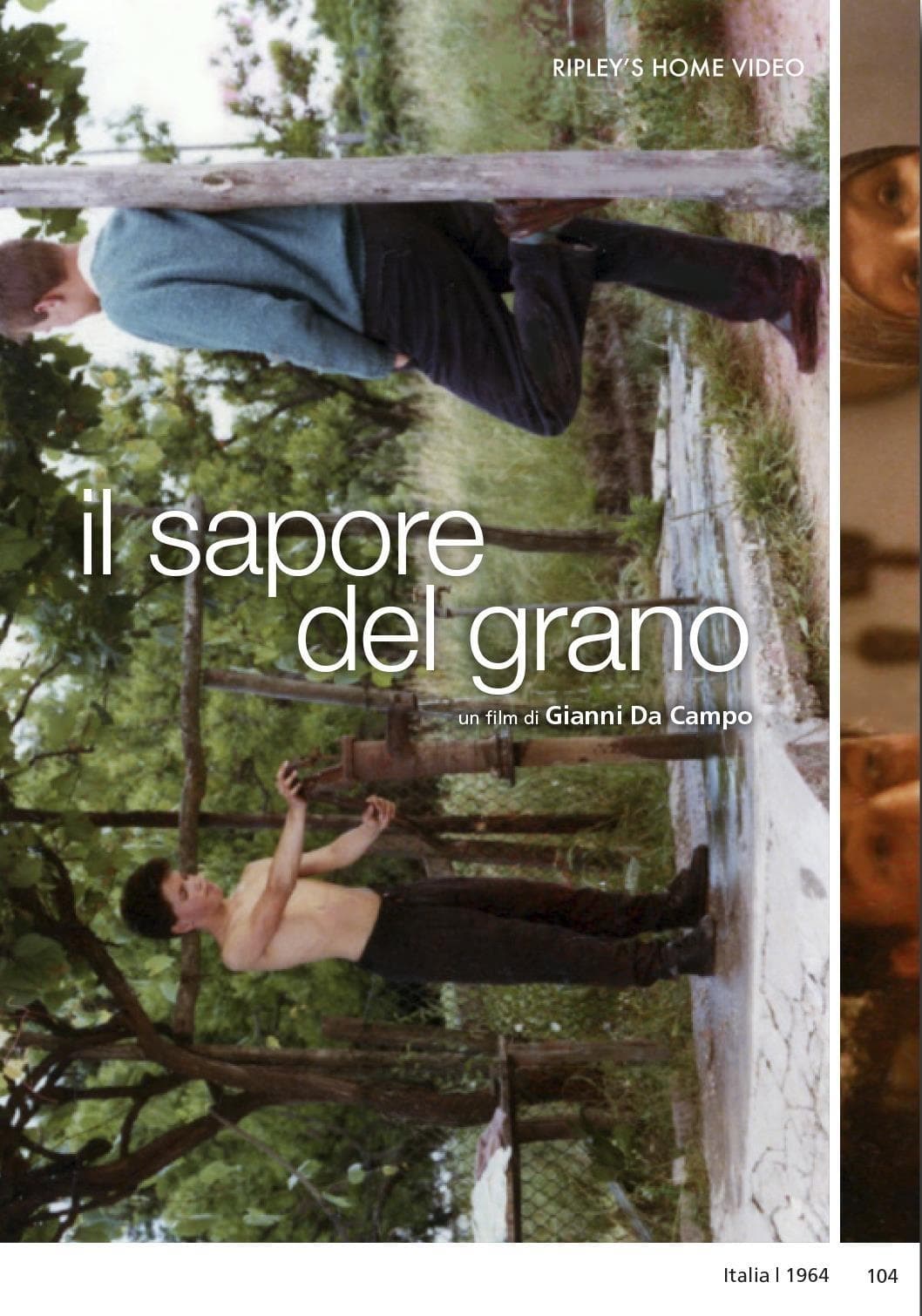 Sapore Del Grano (il) (Import)