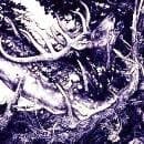 The Third Eye Foundation - The Dark (CD)