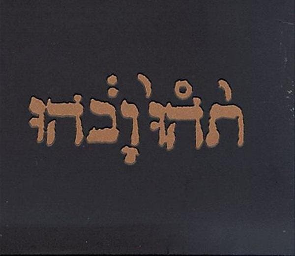 Godspeed You Black Emperor! - Slow Riot For New Zero Kanada (CD)