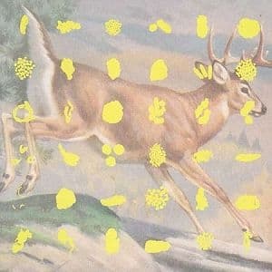 V/A - Fields And Streams