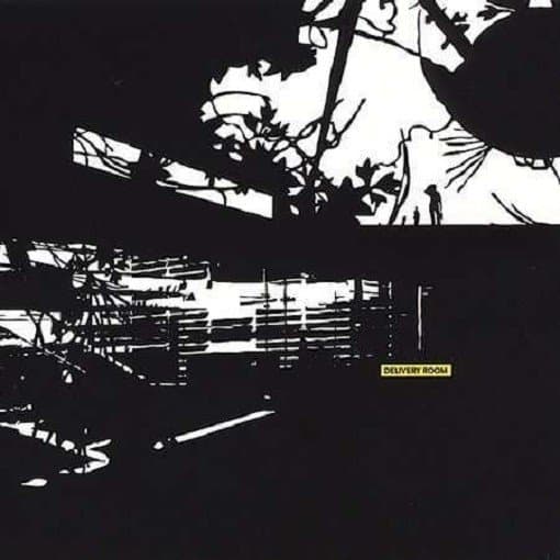Various Artists - Delivery Room (CD)