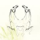 My Brightest Diamond - Tear It Down (CD)
