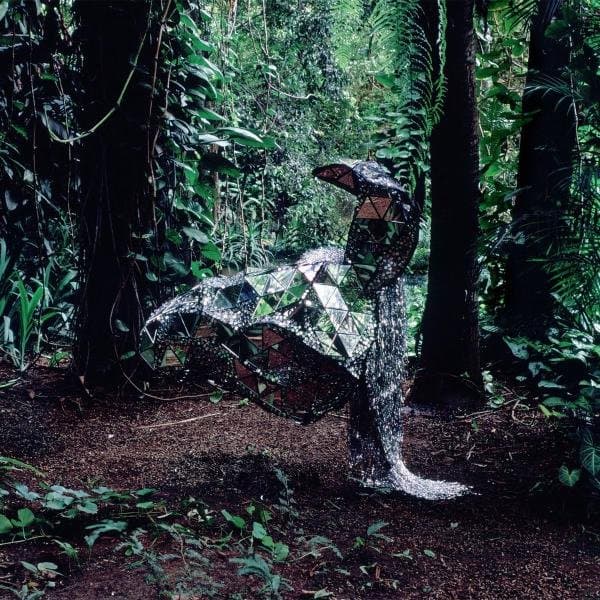 CSS - Donkey (CD)