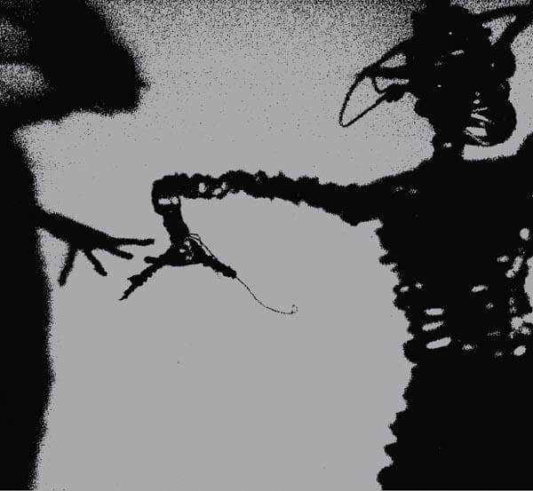 Twilight Singers - Dynamite Steps (CD)
