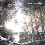 Hobotalk-beauty In Madness