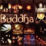Various - Beginner's Guide To Buddh