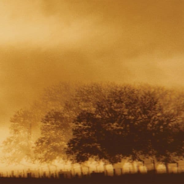 Infinite Light Ltd. - Infinite Light (CD) (Limited Edition)