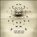 The Rifles - Freedom Run