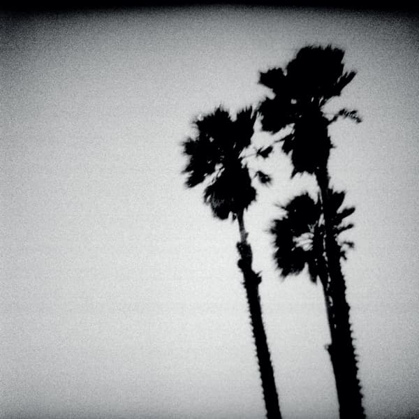 The Twilight Singers - Blackberry Belle (CD)