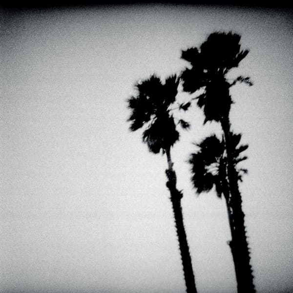 The Twilight Singers - Blackberry Belle (CD)